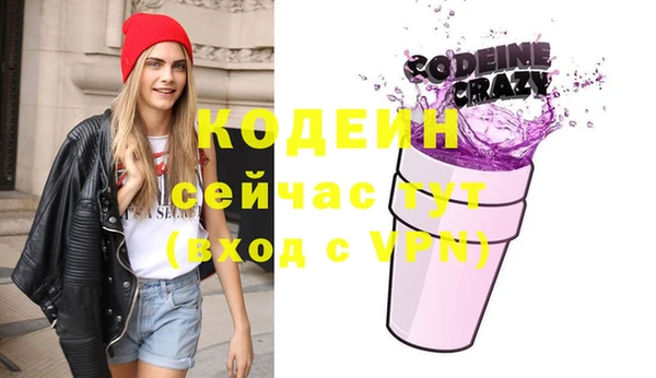 хмурый Аркадак