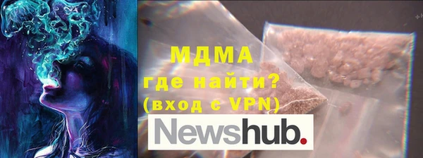 хмурый Аркадак