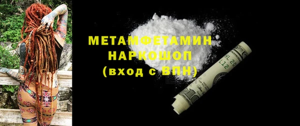 хмурый Аркадак