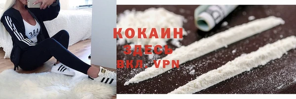 хмурый Аркадак