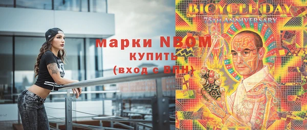 хмурый Аркадак