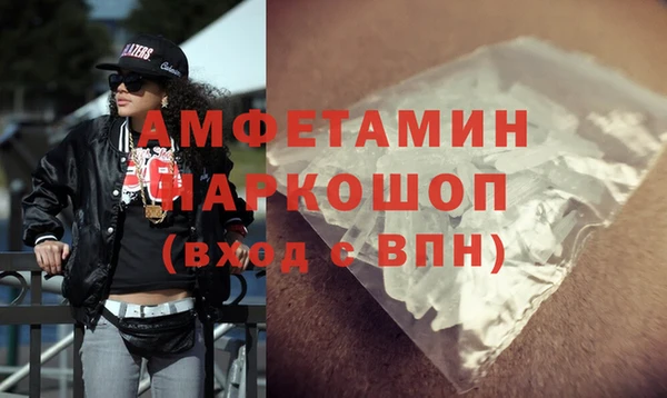 хмурый Аркадак