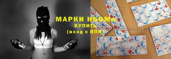 хмурый Аркадак